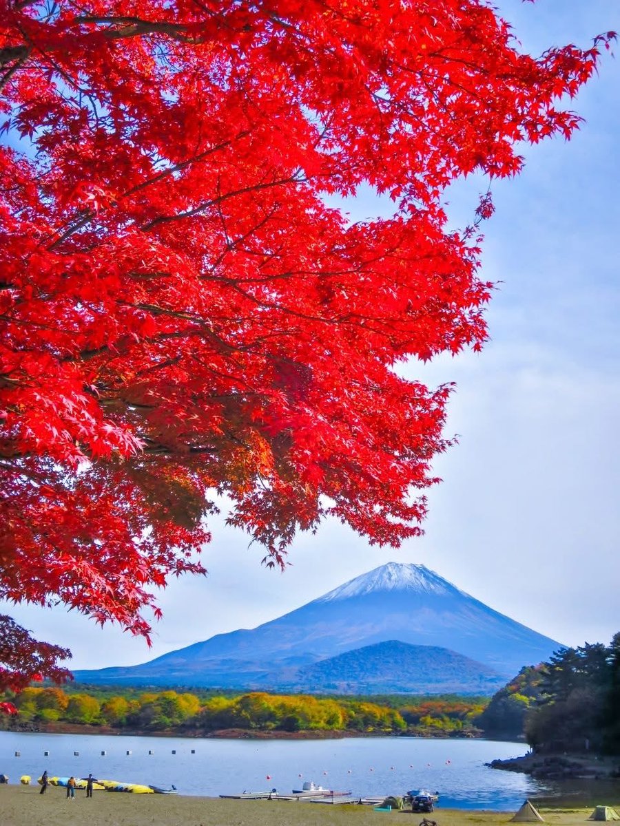 皆さん、おはようございます😸
今日も✨よろしくお願いします
こちらは快晴です☀️
良い一日をお過ごし下さい👋