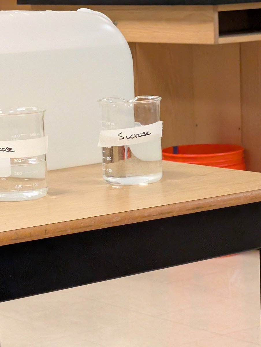 Strawberresoda's tweet image. Fuck man.. she&apos;s everywhere.. #GItwt
#genshinimpacttwt