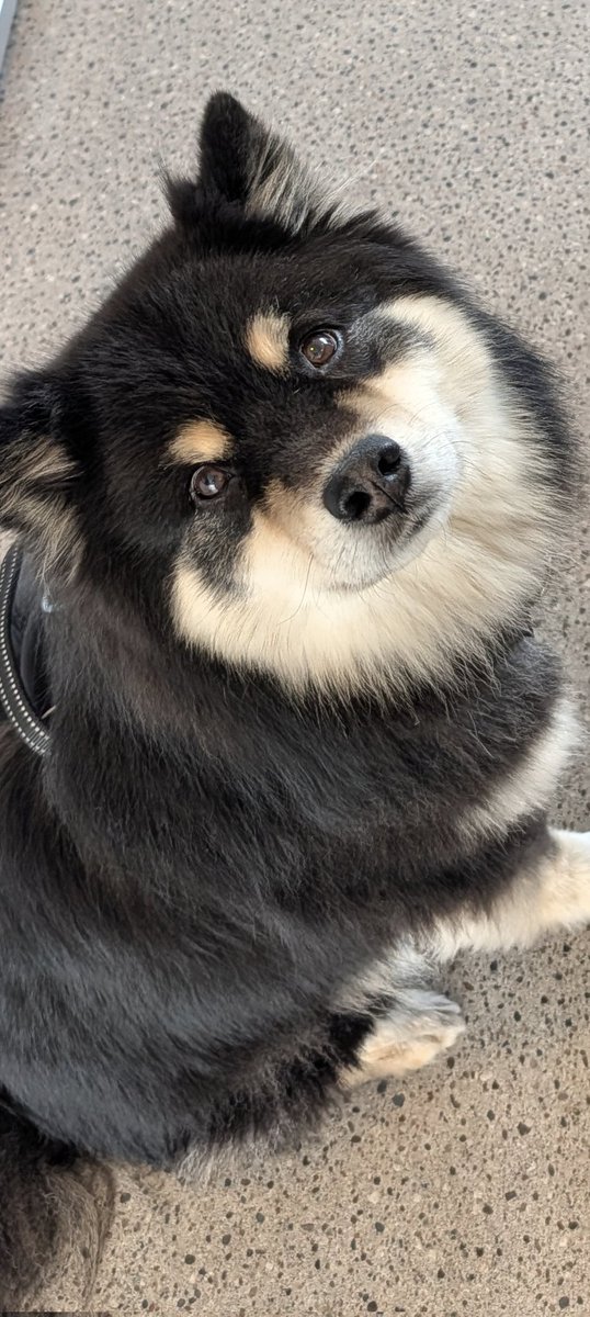 Saul Goodboi tweet media