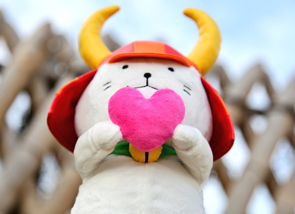 あきにゃん あきにゃん (@akinyan922) / Posts / X