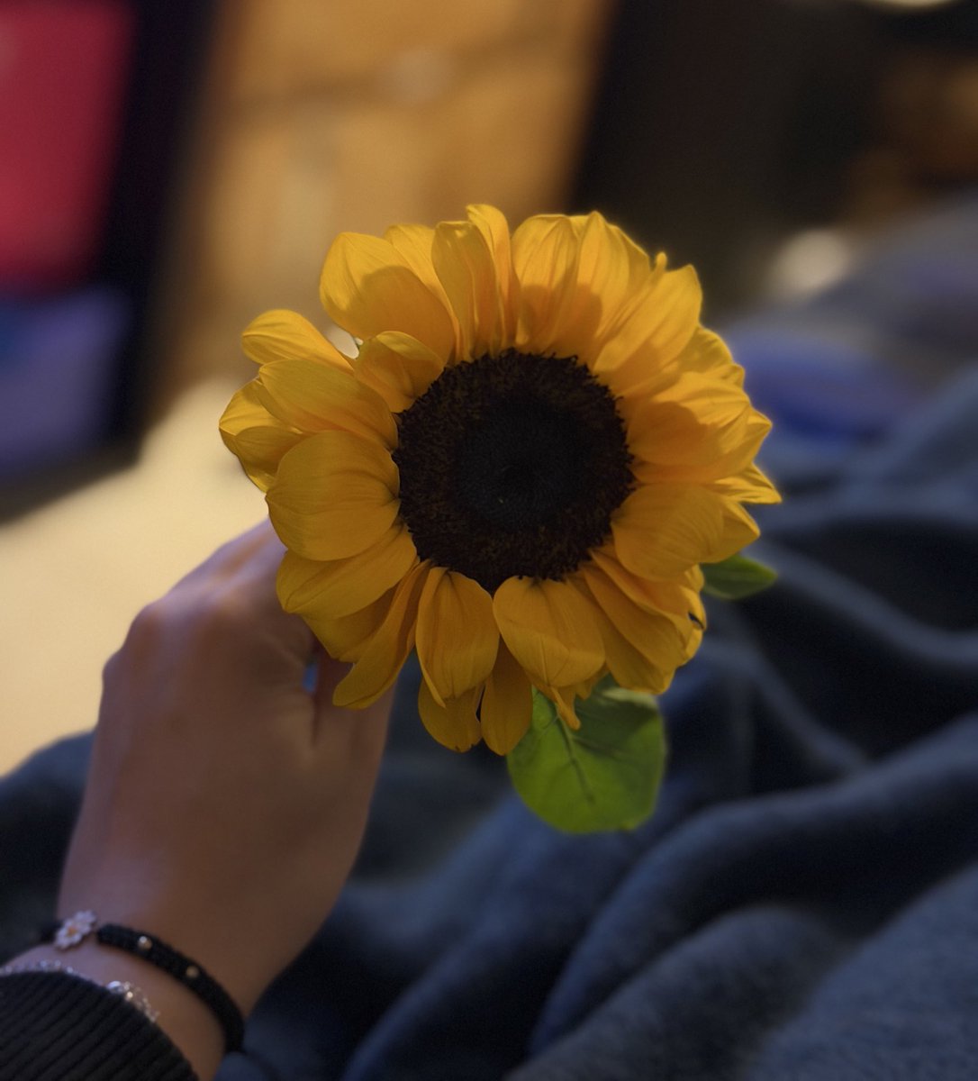 ValenTelleez's tweet photo. Mi novio y sus mil maneras de recordarme a diario cuanto me ama.😍🌻 https://t.co/XTnOzQPPsH