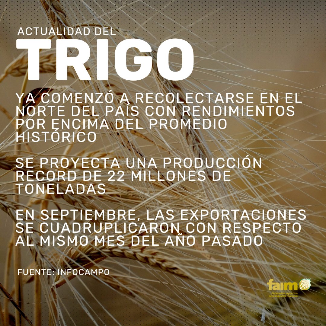 🌾Comenzó a recolectarse #trigo con rendimientos por encima del promedio histórico, y se espera una producción record de 22 millones de toneladas.
En septiembre, las exportaciones se cuadruplicaron con respecto al mismo mes del año pasado.
📌t.ly/sCnTN
<a href="/infocampoweb/">Infocampo</a>