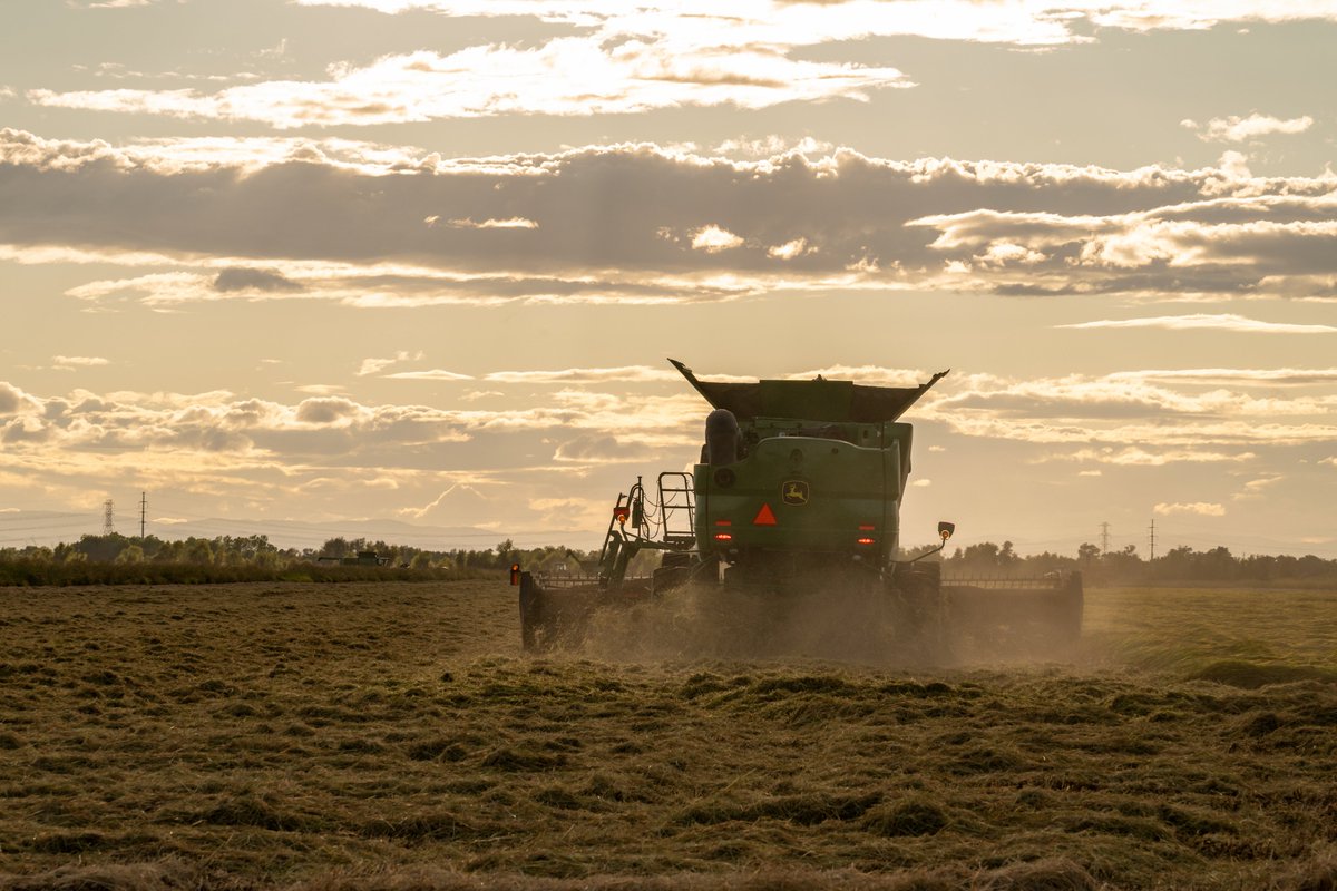 Rice harvest may be ending, but the work continues.

Farmers, scientists, and conservationists are preparing to flood fields and welcome back the wildlife that rely on them. #CARice