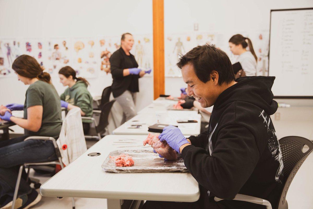 Earlier this week, our Paramedic students explored the anatomy of a pig heart with a hands-on dissection! 

Interested in a career in health sciences? Check out our upcoming January 2026 post-secondary programs on our website at 7generations.org/post-secondary….