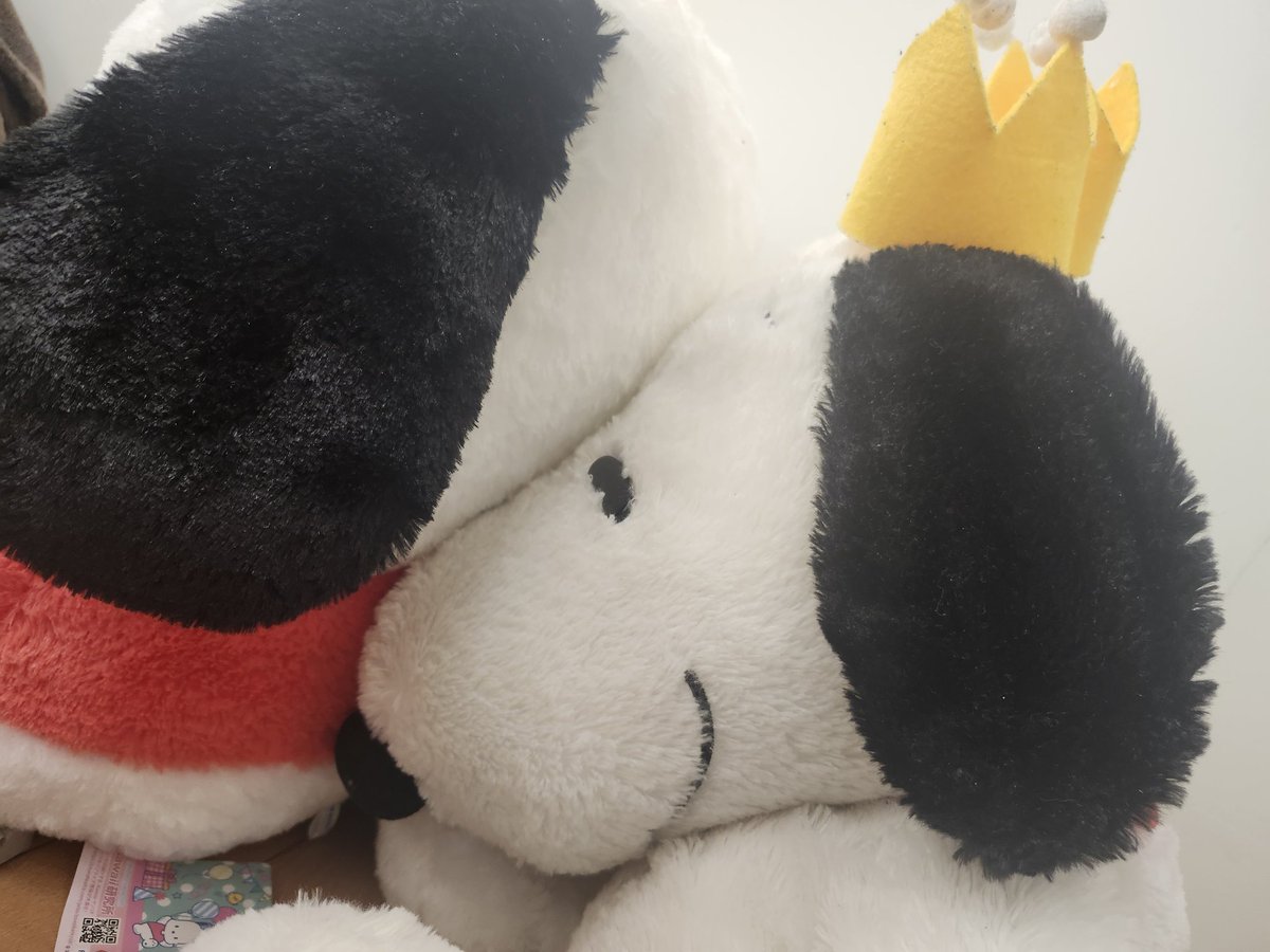 みか＊🏠＊ (@mika_1227_) / Posts / X