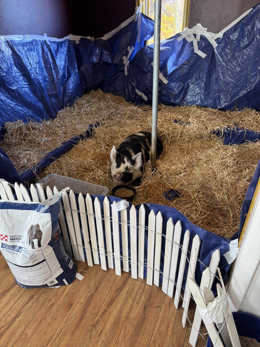 Geescottsburner's tweet image. Just welcomed the new roommate.

Questions? Comments? Concerns?