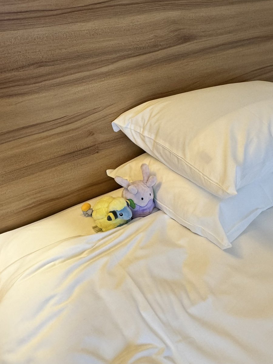 ぴかちょ tweet media