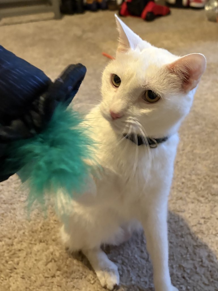 Paul Blart tweet media