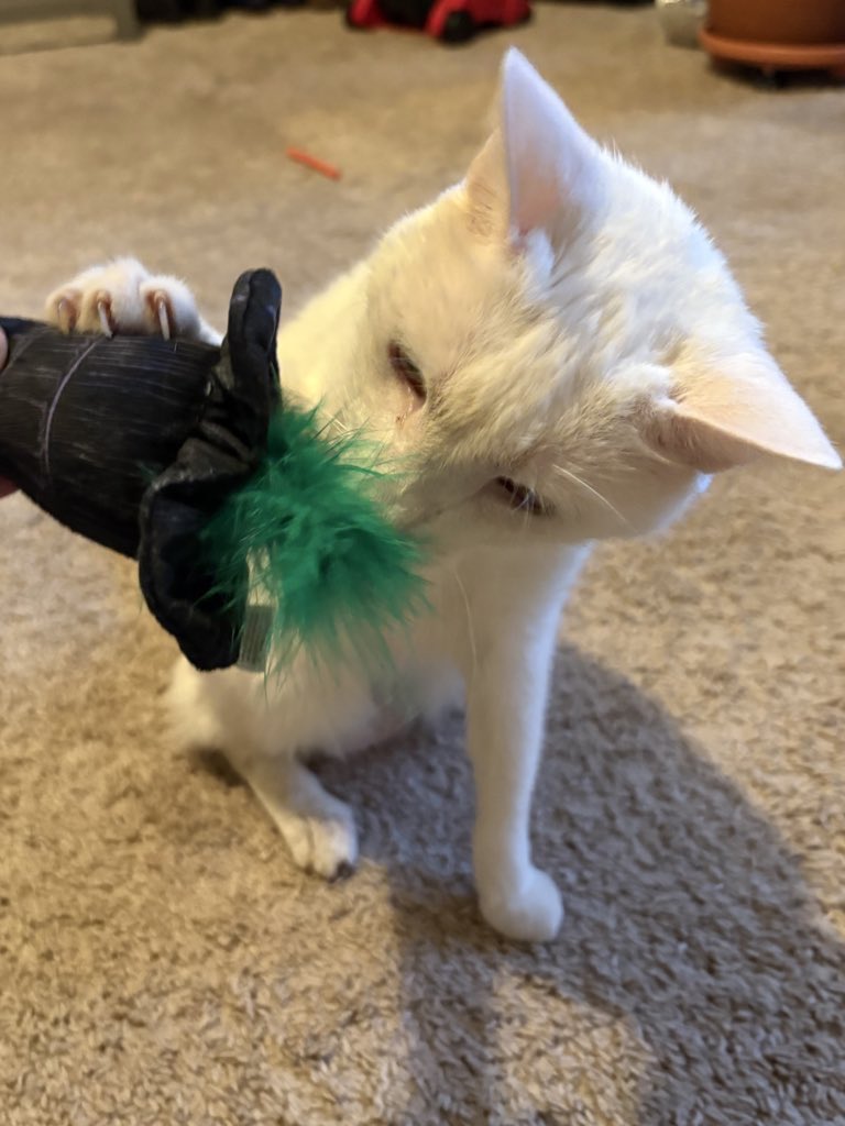 Paul Blart tweet media