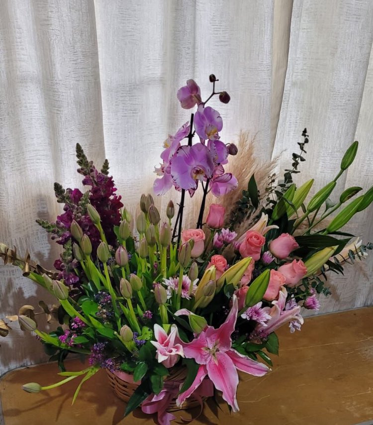 ray_mejorada's tweet photo. A veces el amor verdadero no llega para quedarse donde uno está, sino para mostrarnos en quiénes podemos convertirnos. 🌱
No hay imposibles cuando el corazón tiene la valentía de cambiar… por amor. 💫 ⚡️🌎〰️ https://t.co/oKKiJJmiEh