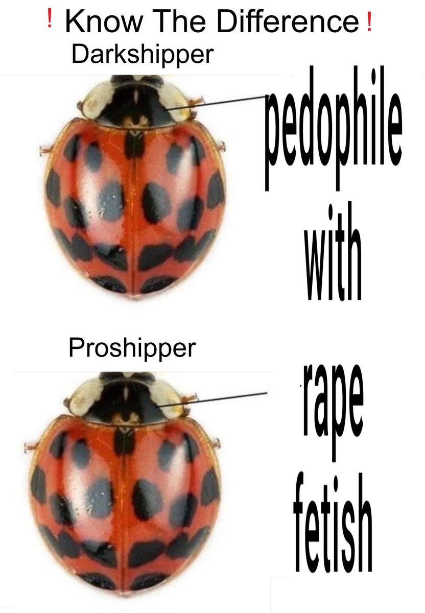 𝕾ebastian 🪽 angel kisser tweet media