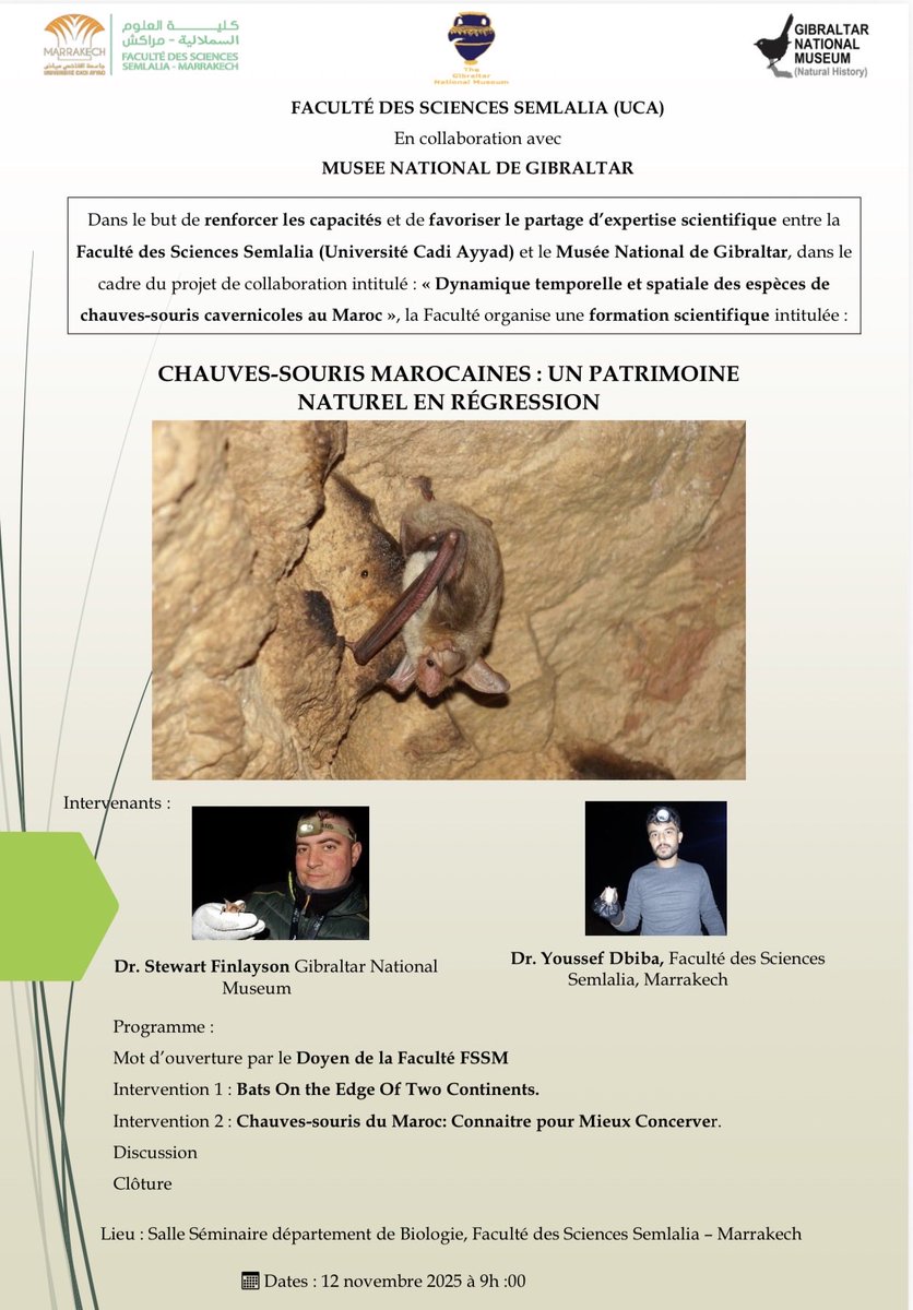 Dr. Stewart Finlayson tweet media