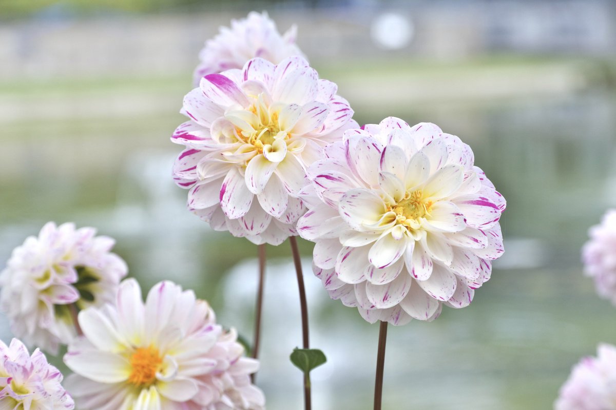 スギマサ＠人生 再出発 on X