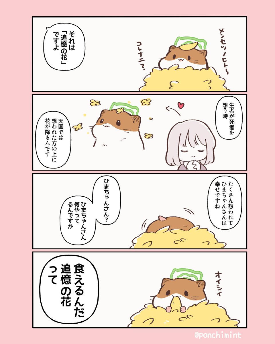 ひまちゃんと天国の面接 追憶の花は食べられる | しらほし卯乃@単行本