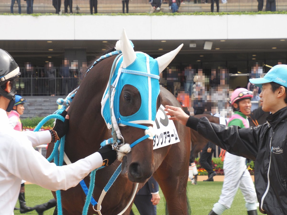 馬のある静物2 サタデーオークション on X