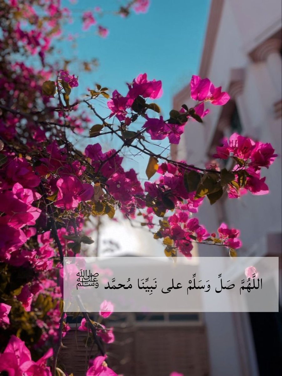 t_i1l7's tweet image. #محمد ﷺ ..🕊✨
    إنْ ڪان جذعُ النخلِ حنَّ لصوتِه ،،
      أفلا تحنُّ إلىٰ البشيرِ الهادي؟ ،،

     زِدْ فــ الصلاةِ عليهِ واقصدْ نهجَهُ ،،
     ما دام نبضُ القلبِِ فــ الأجسادِ ..✨🌿

#اللهم_صل_وسلم_على_نبينا_םבםבﷺ ❤️