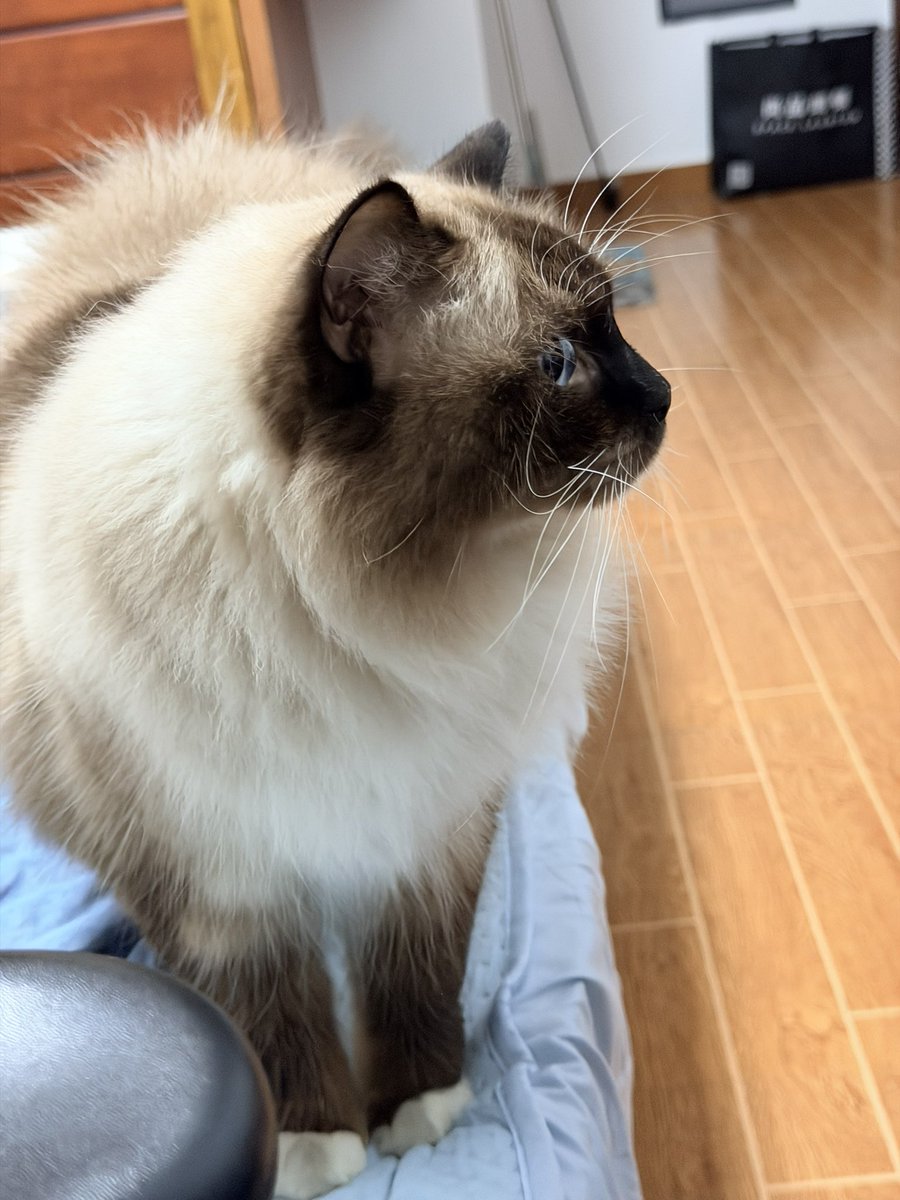 Epiphany tweet media