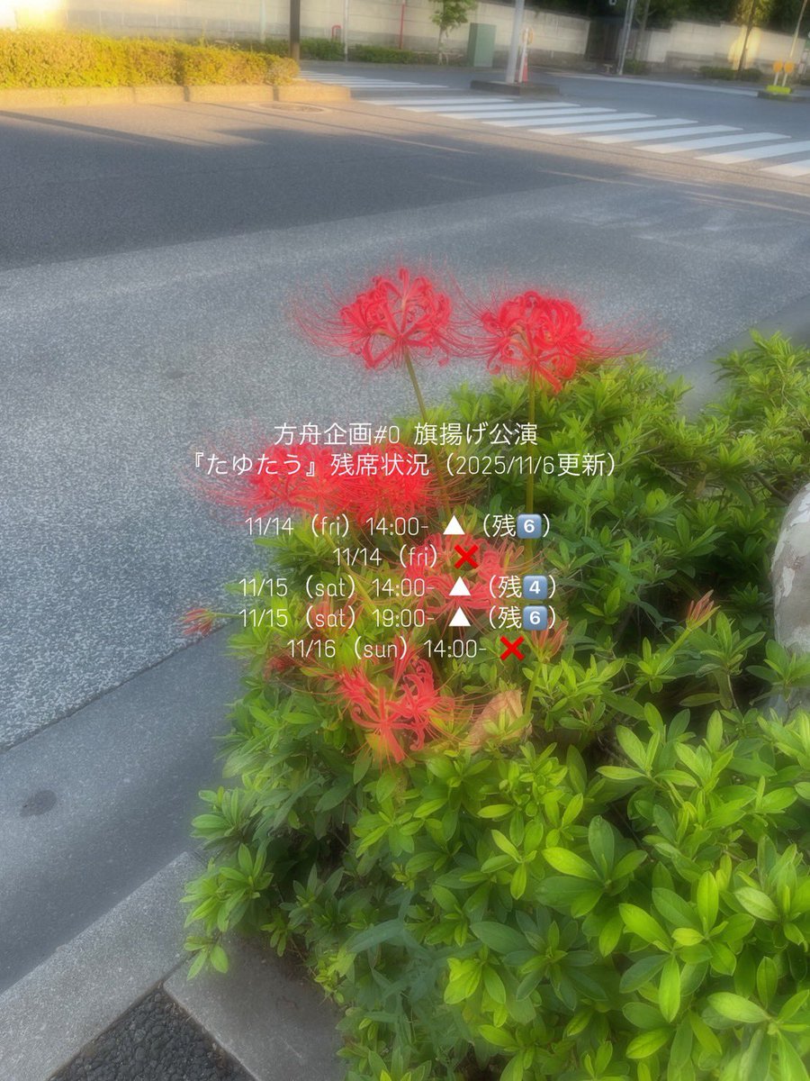 #方舟企画  #たゆたう 

またまた嬉しいお知らせが！
金曜夜に加えて日曜の千秋楽も完売致しました✨️

残りの回もお席わずか！
ぜひ早めのご予約を！！

quartet-online.net/ticket/tytu