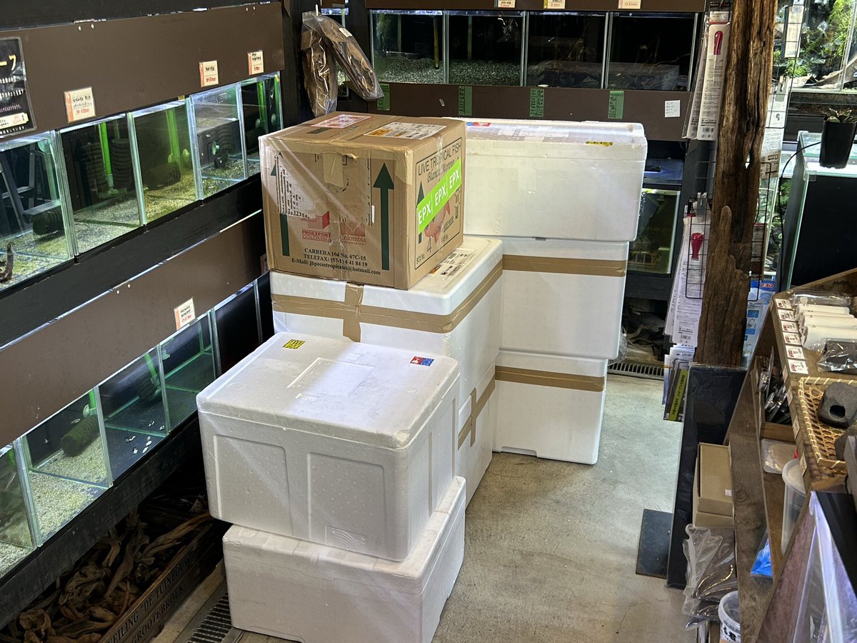 今日もドカーン💥と入荷中！