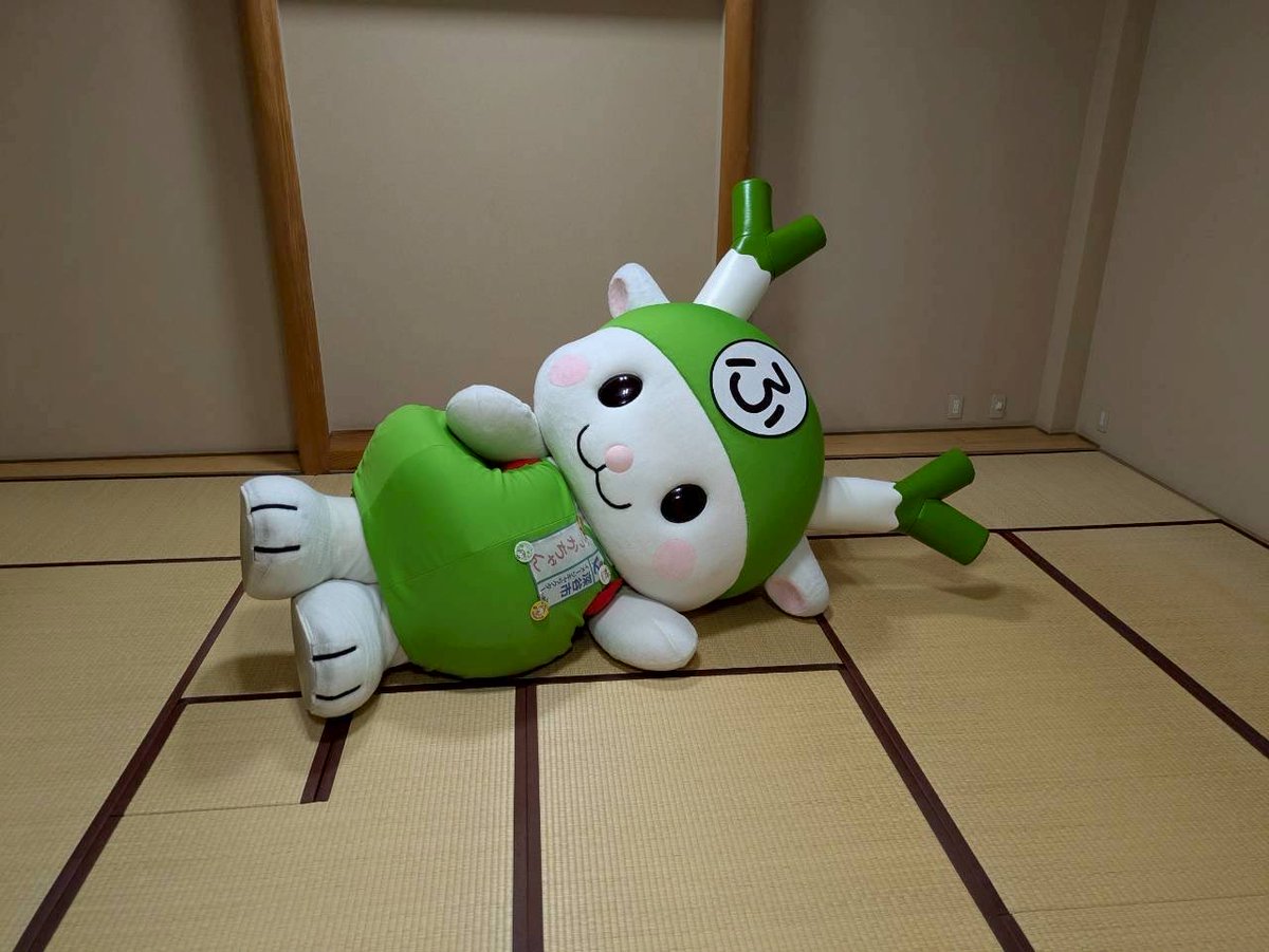 お昼食べたら眠くなってきちゃったなぁ〜 Y(o˘ω˘o)Y💤 ゴロゴロし