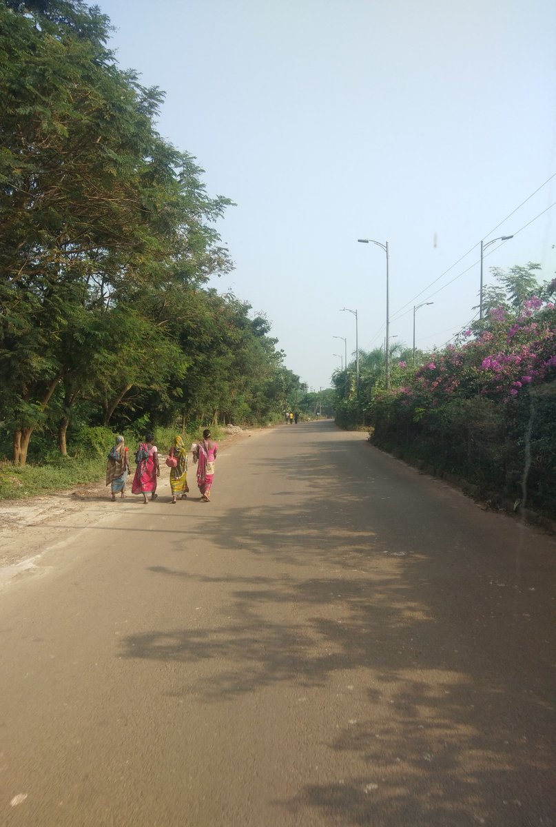 QRbabun's tweet image. Odisha is beauty in calmness 
the peace of bhubaneswar mornings…
#Greatday