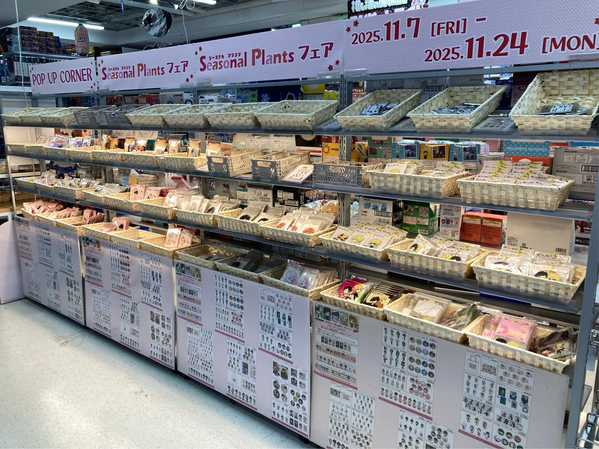 1st pop up 限定専用出品 ビックカメラ池袋本店【公式】 on X