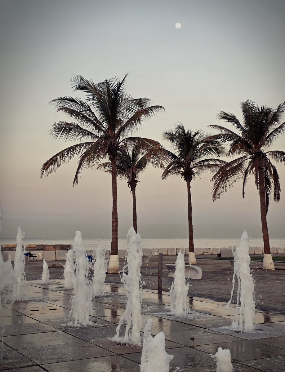 صباح النور والتفاؤل في هذه الجمعة المباركة بمشيئة الله من جدة الجميلة