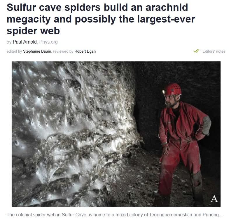 Lothalis tweet media