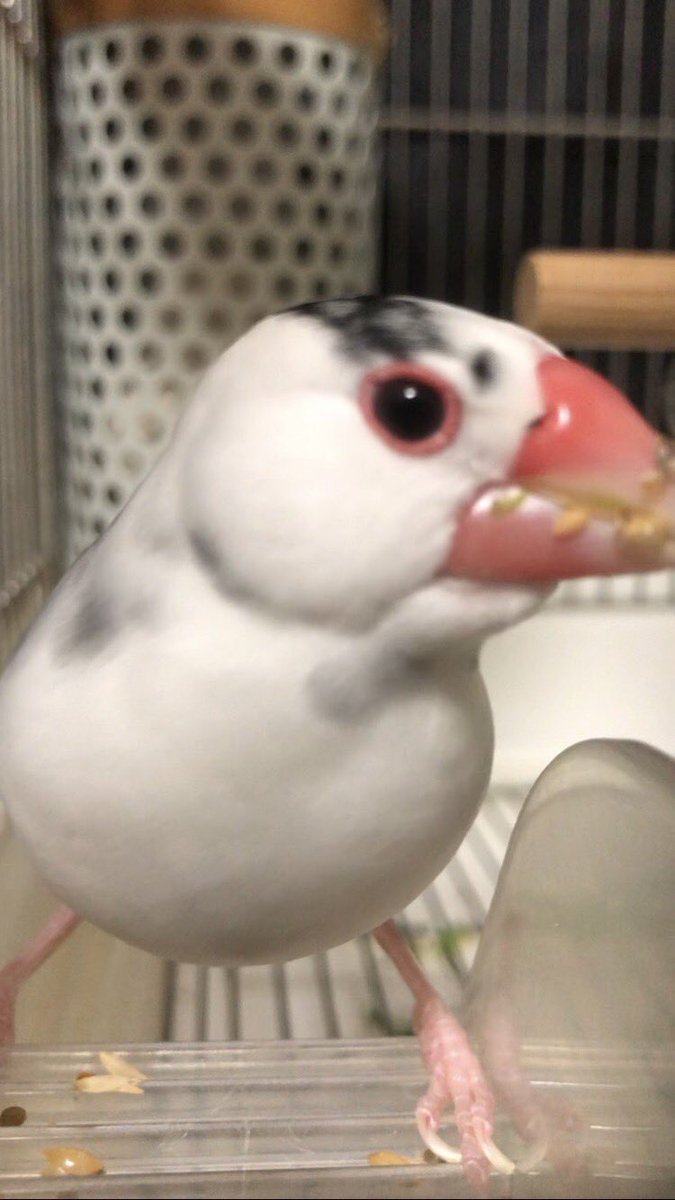 高木栄一郎 tweet media