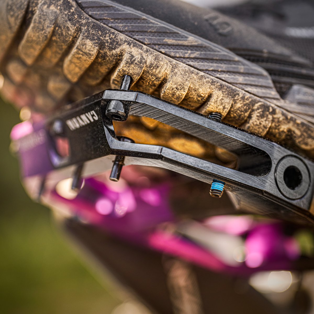 茶まめ 楽天市場】茶豆〈チャマメ〉1パック、200g〜300g前後 : 【築地通販