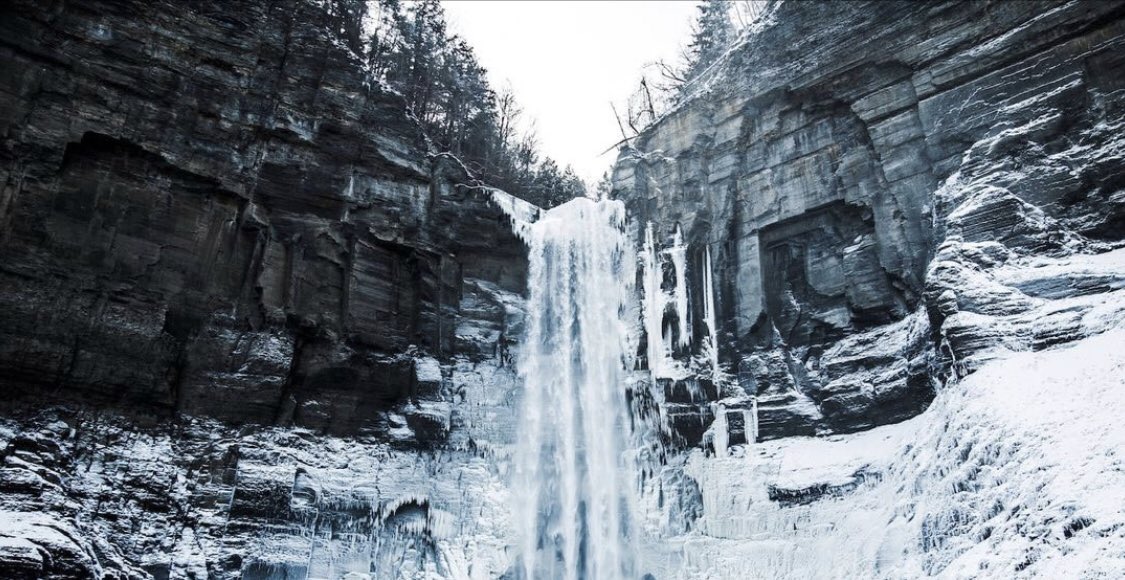 Albert Wang tweet media