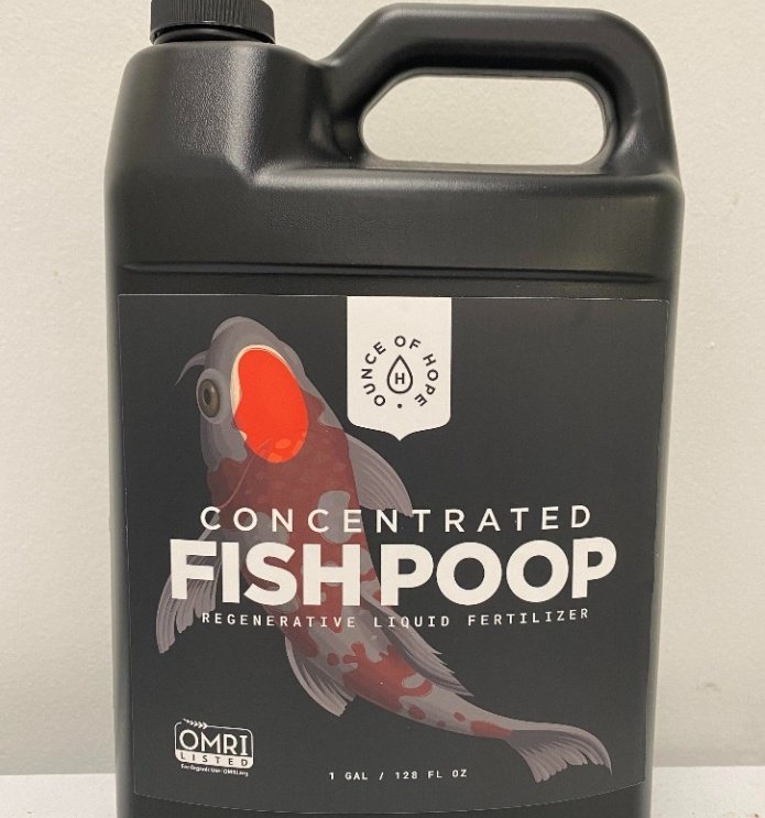 Thursday Night Football