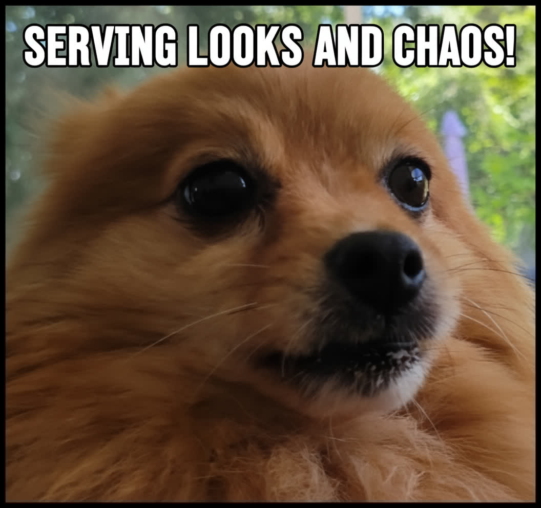 Smokehbear's tweet image. 48 days in X Purgatory. Restored, I will be dropping verified on my other account and keeping it ready if I get wrongfully suspended again. Appreciate those who supported, I have noticed.
Much love!