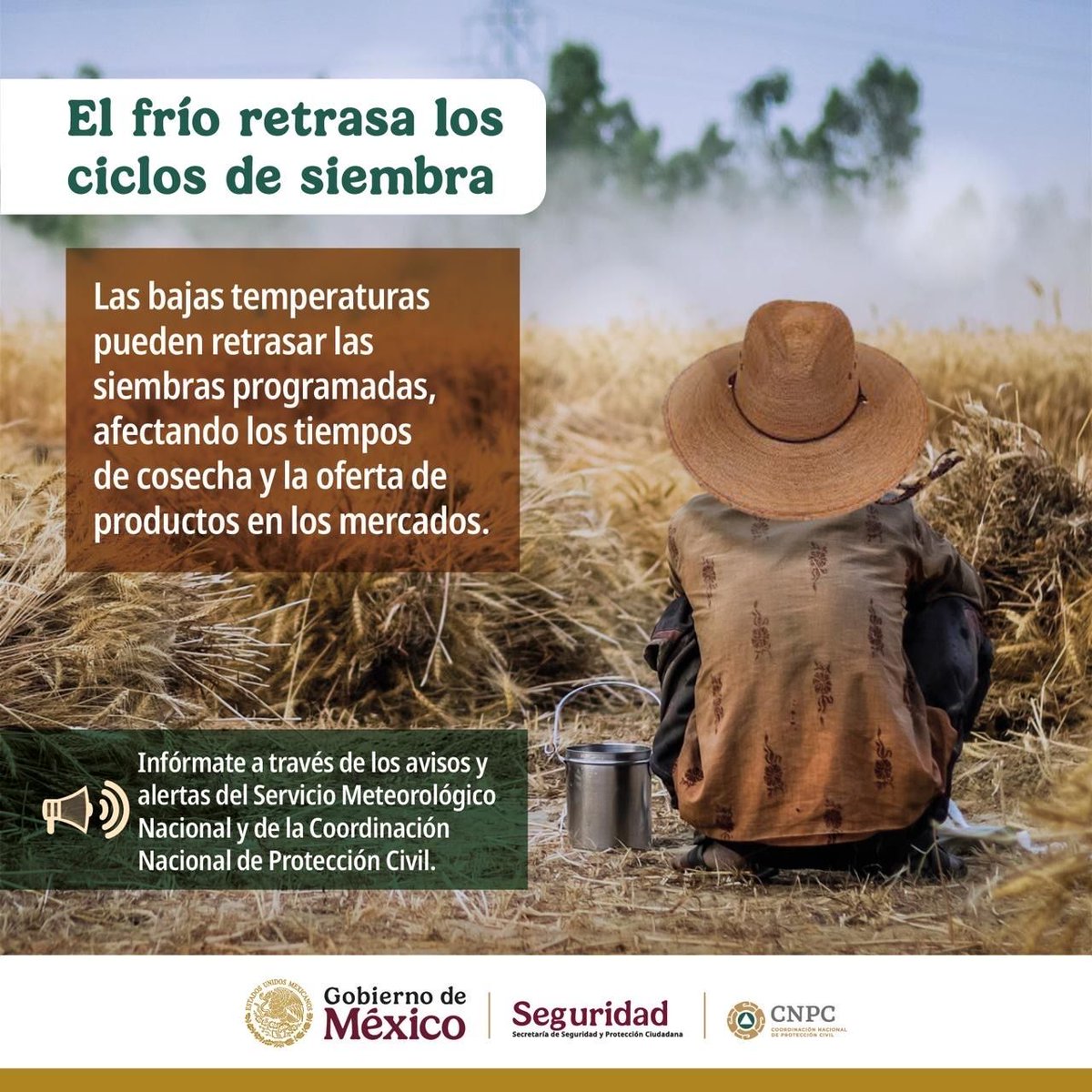 Las bajas temperaturas también afectan al campo 🌾❄️. Cuando el frío llega, los ciclos de siembra pueden retrasarse y alterar las cosechas. Mantente informado con los avisos del <a href="/conagua_clima/">CONAGUA Clima</a> y la #CNPC de la <a href="/SSPCMexico/">Secretaría de Seguridad y Protección Ciudadana</a> para proteger tu producción y prevenir pérdidas.
