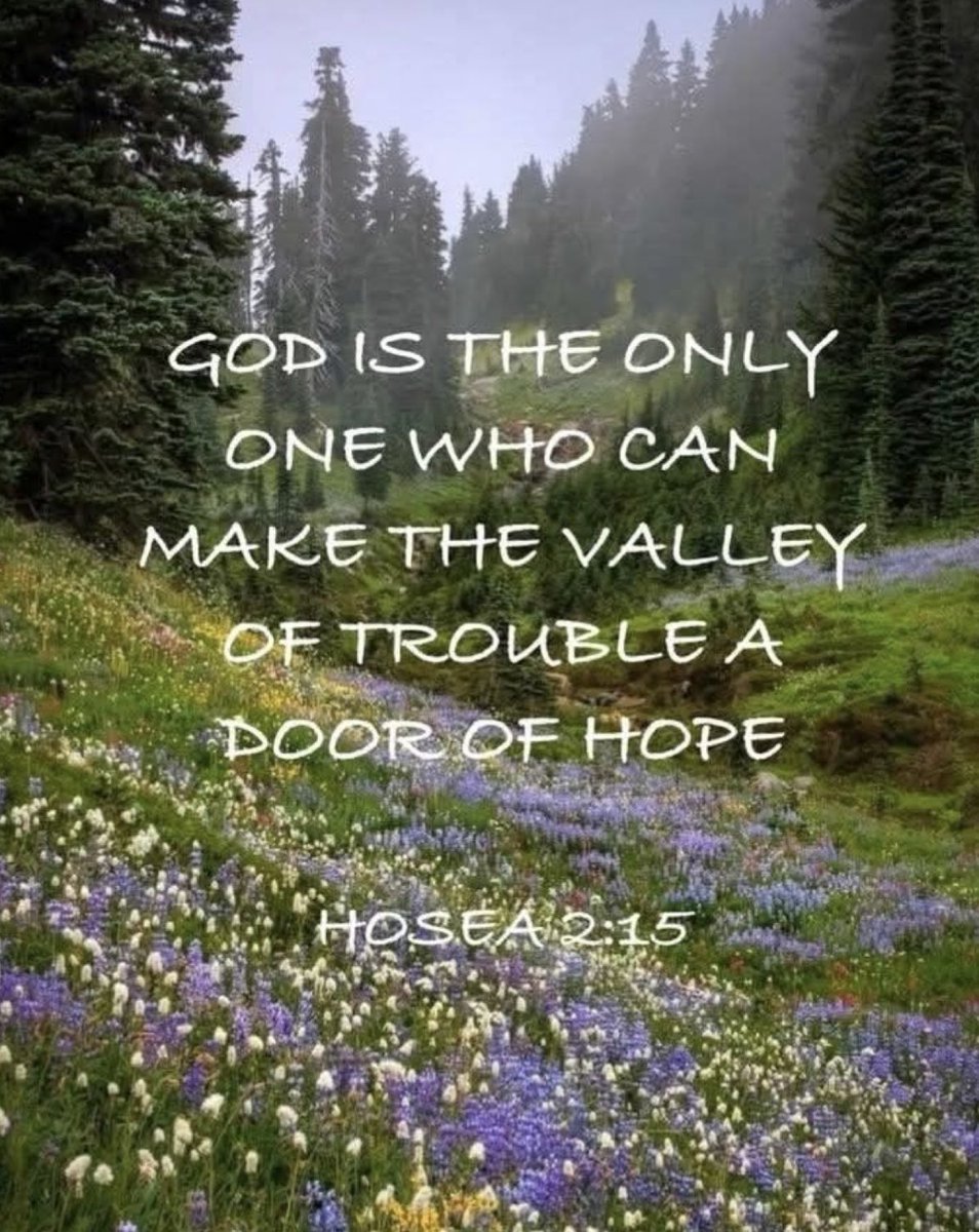 sharonePack's tweet image. PILLOW 🌟#PROMISE💫