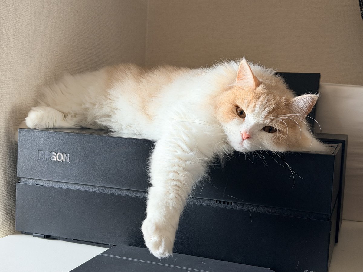 馬込将充 (@_mago0108) on Twitter photo 