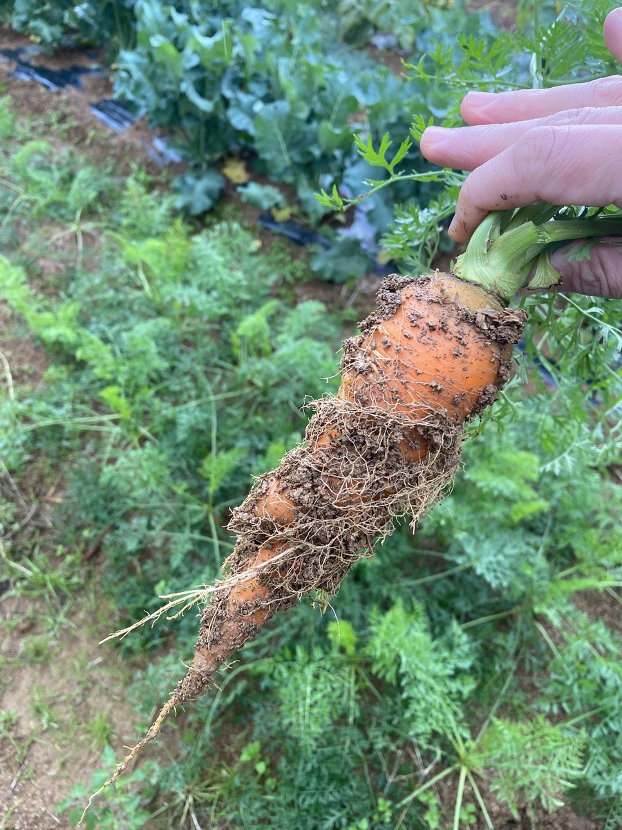 にっしー＠農家 on X