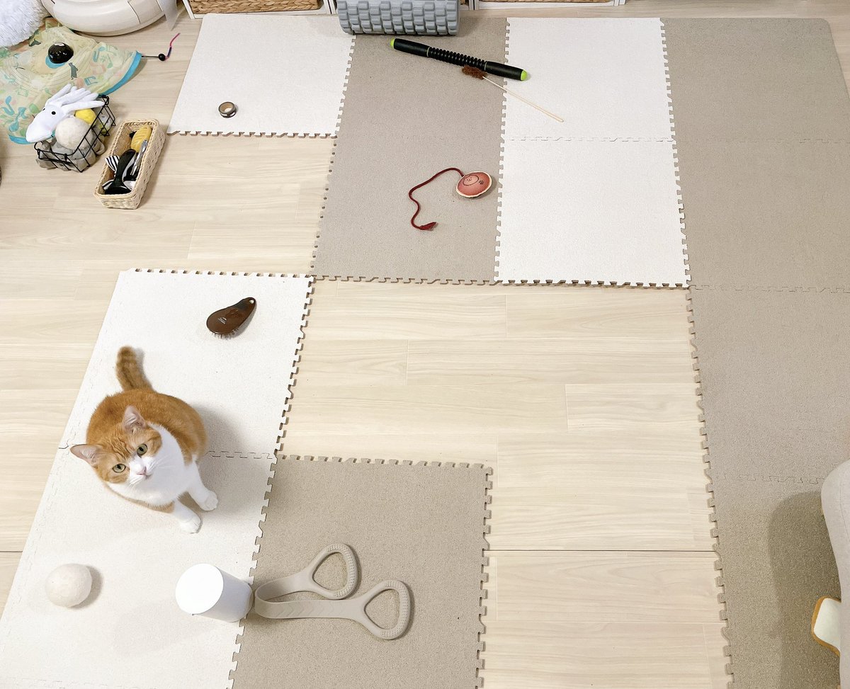 kinakoページ きなこ on X