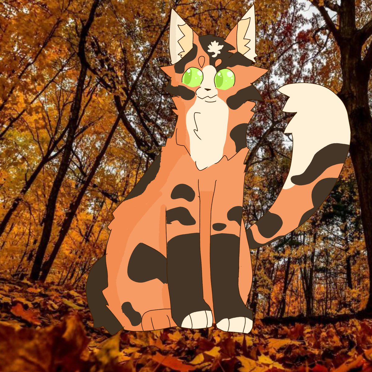 SpaceRockCat's tweet photo. Back https://t.co/lpT0RWBm5l