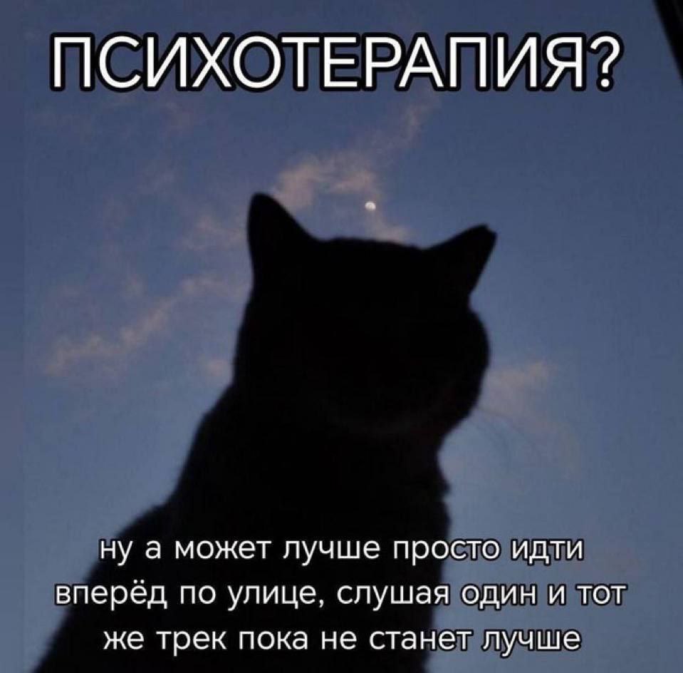 cats, i love cats (@catsilcats) on Twitter photo 