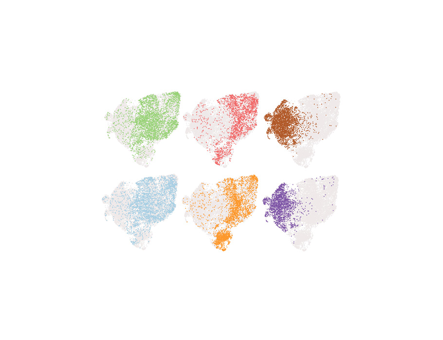 A new <a href="/SciImmunology/">Science Immunology</a> study in mice has identified stem-like tissue-resident memory T cells that can reactivate and regulate immune responses in the intestines, which could inform future immunotherapies against gastrointestinal tumors or chronic infections. scim.ag/491zBw2