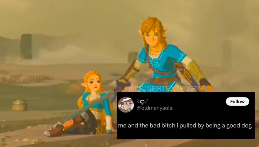 Incorrect Text Posts tweet media