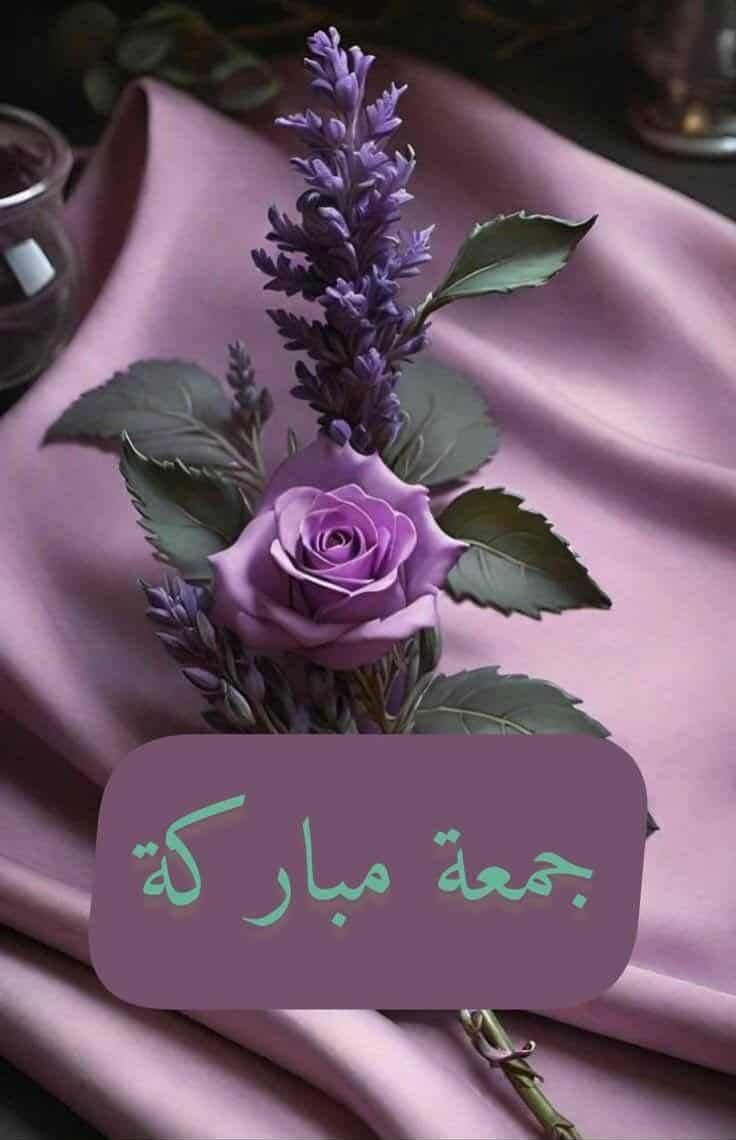 لااله الا الله 
  سبحان الله وبحمده 
       سبحان الله العظيم