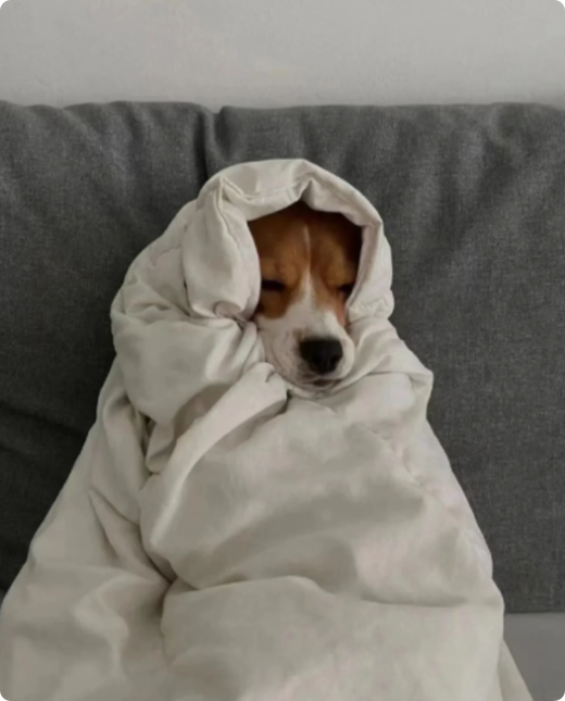 Codqwtrick's tweet image. 冬の私は、起きることで人生に熱く応えているの。