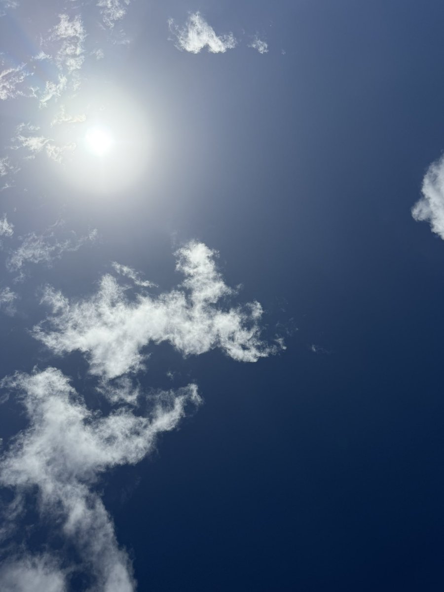 今日も島の海は綺麗✨ざぶざぶで泳げそうにないので日向ぼっこかな、、。