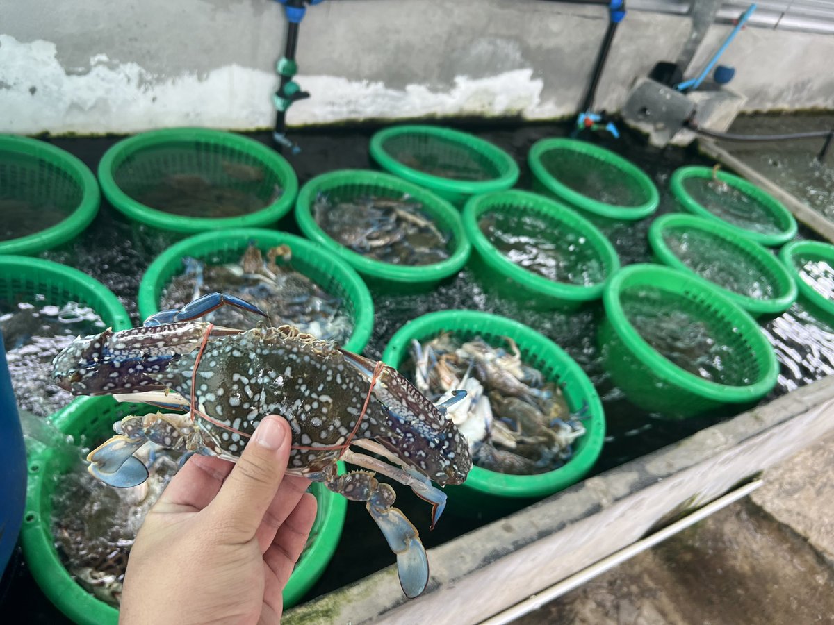 บ้านเรามีปูนะ 😊😊 
#พัทยา #แหลมมฉบัง