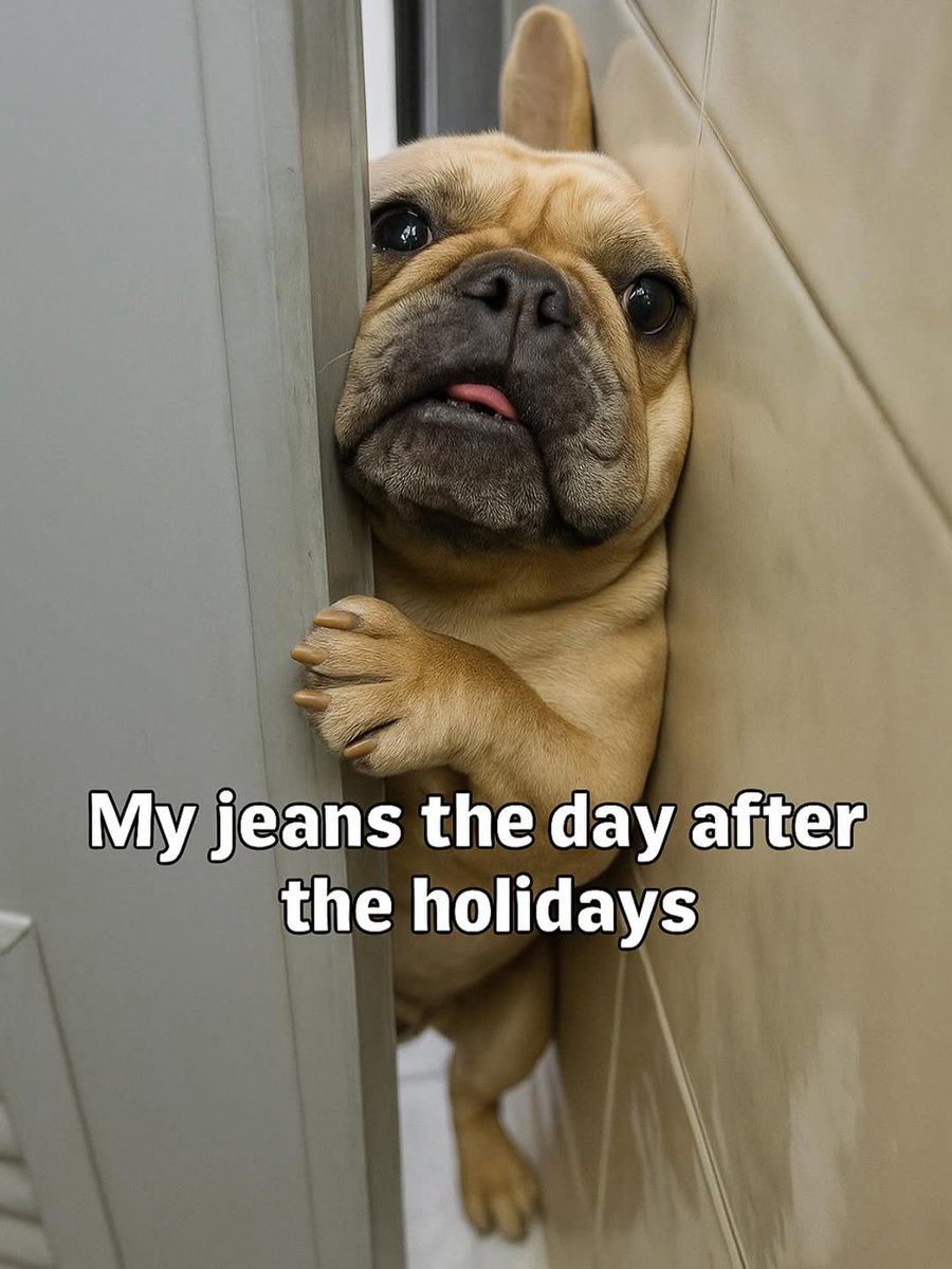 FrenchiesZone tweet picture