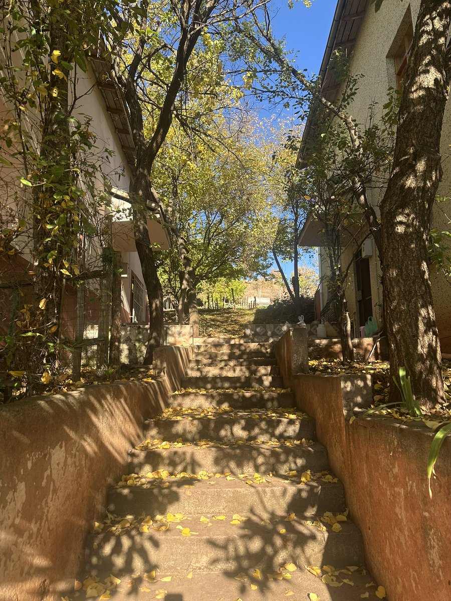 Allah'ım günahlarımızı bağışla, bizleri rahmetinden  mahrum eyleme, merhametinle bizlere cennetini girdir. 

Dualarımızın kabul olması dileğiyle cumanın hayrı ve bereketi üzerimize olsun…