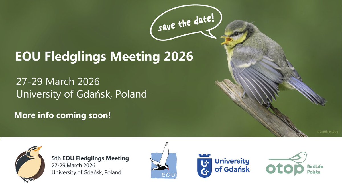 SAVE THE DATE and let's meet in Gdansk‼️😎
EOU Fledglings also landed in BlueSky @feldglings.bsky.social. Follow us there for more update! 🦋