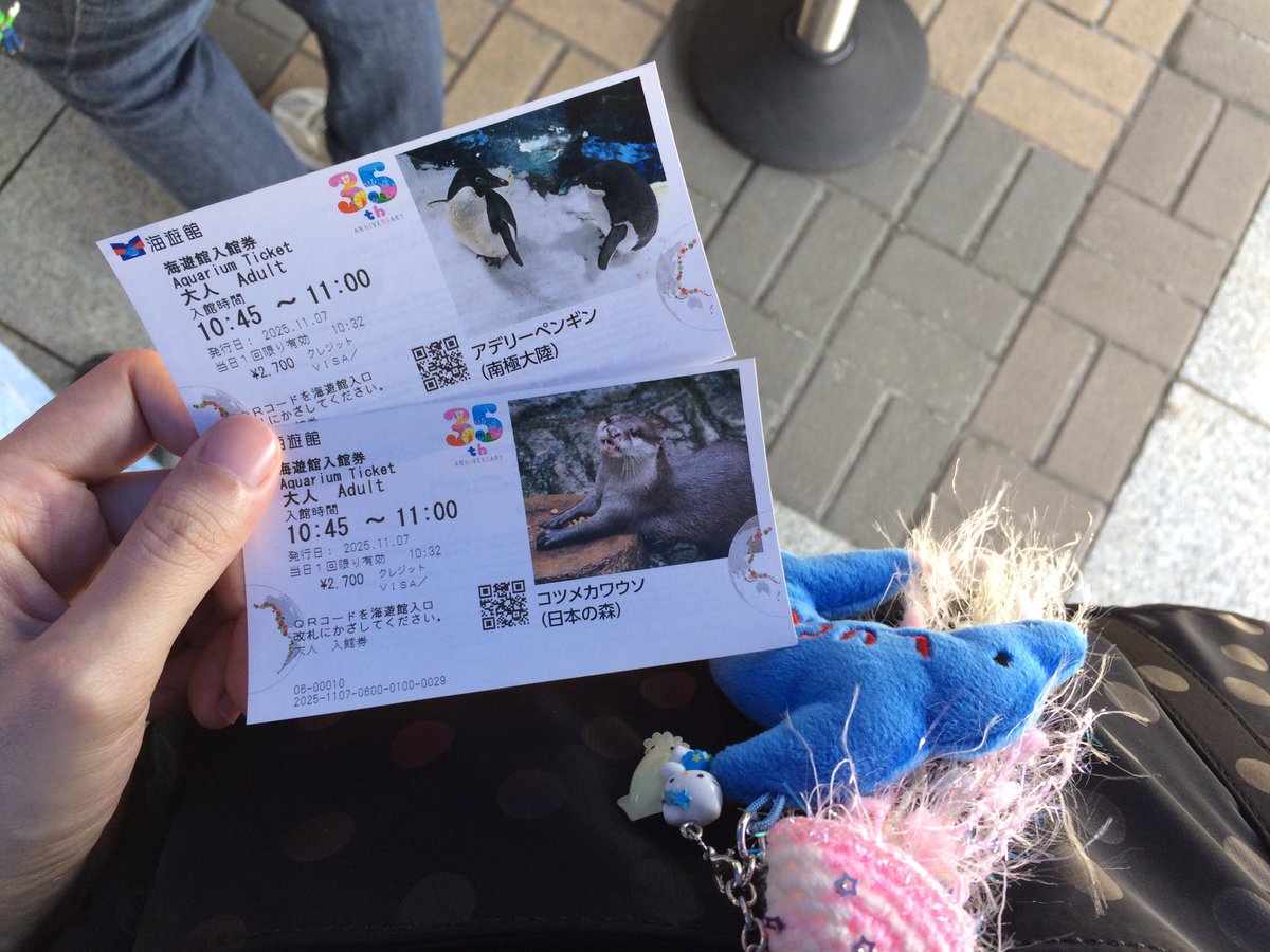 marauisxx's tweet image. 🐡🐠🐟🐬🐳🐋🦈🦭🪼🦐🦞🦀